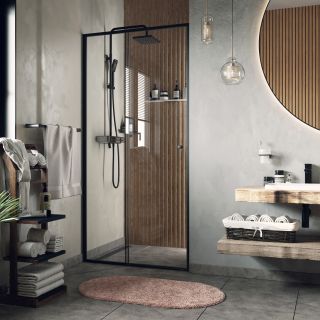 Душевая дверь Wasserkraft Dill 61S13 110x200 см